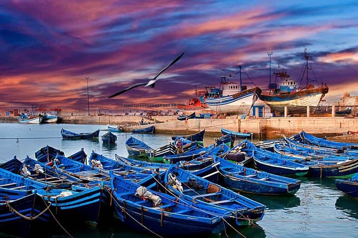 Essaouira Day Trip from Marrakech: Atlantic Ramparts, Argan Groves & Medina Strolls