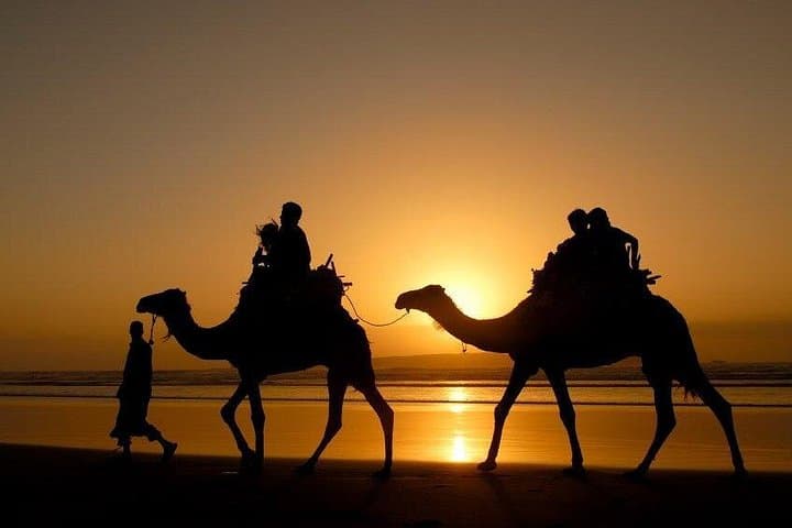 Essaouira Private Full-Day Trip from Marrakech — Medina, Ramparts & Atlantic Coast photo 3