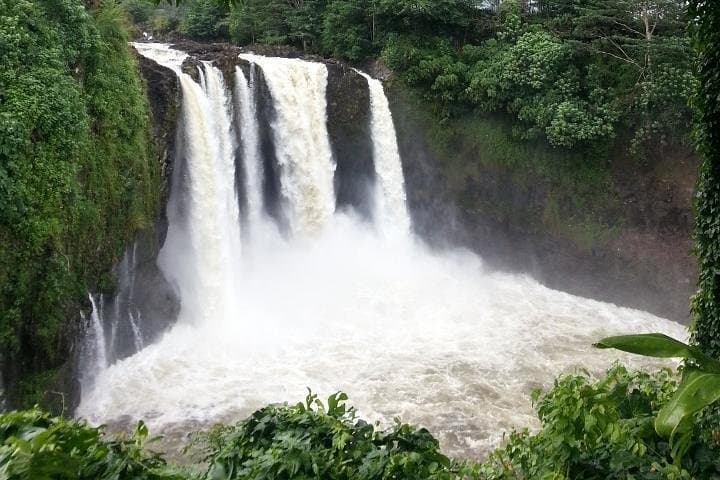 Hilo Highlights: Waterfalls, Gardens & Local Secrets Tour
