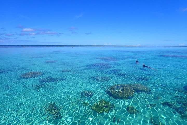 Bora Bora Full-Day Private Lagoon Snorkel Cruise with Motu Lunch photo 6