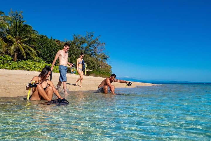 Half-Day Low Isles Snorkelling Tour from Port Douglas — Coral Gardens & Glass-Bottom Boat