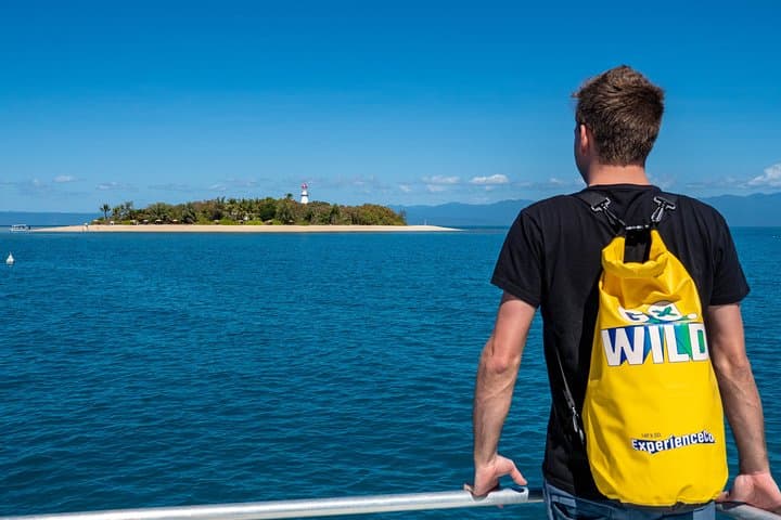 Half-Day Low Isles Snorkelling Tour from Port Douglas — Coral Gardens & Glass-Bottom Boat photo 2