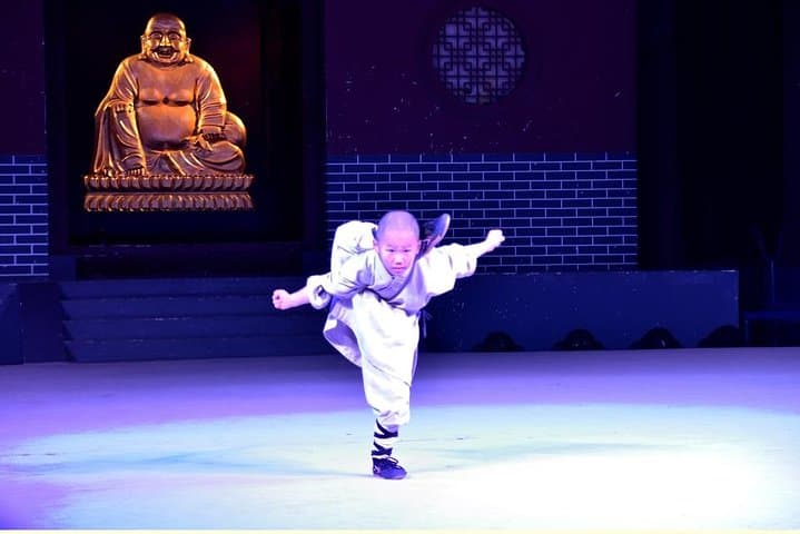 Day Trip by Bullet Train: Shaolin Temple & Longmen Grottoes from Beijing photo 3