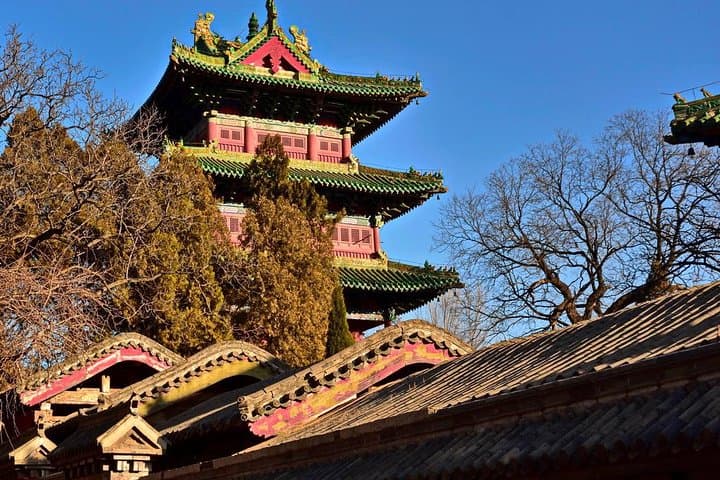Day Trip by Bullet Train: Shaolin Temple & Longmen Grottoes from Beijing photo 5