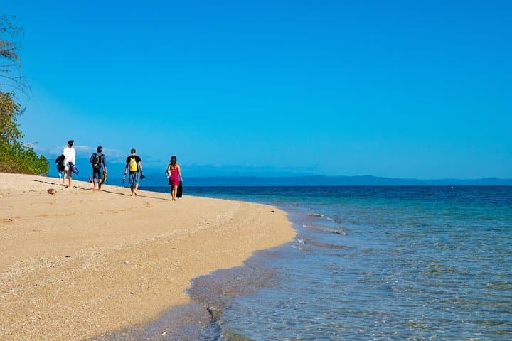 Half-Day Low Isles Snorkelling Tour from Port Douglas — Coral Gardens & Glass-Bottom Boat photo 3