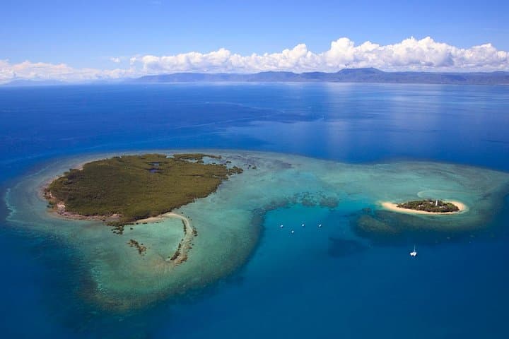 Half-Day Low Isles Snorkelling Tour from Port Douglas — Coral Gardens & Glass-Bottom Boat photo 5
