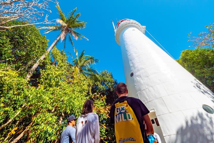 Half-Day Low Isles Snorkelling Tour from Port Douglas — Coral Gardens & Glass-Bottom Boat photo 6