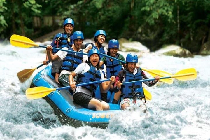 Ayung-River-Rafting-and-Tegallalang-Swing-Day-Trip-from-Ubud