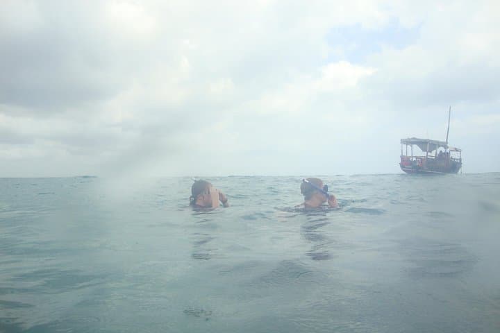 Diani Beach Dolphin & Kisite Snorkel: Full-Day Boat Tour from Shimoni photo 4