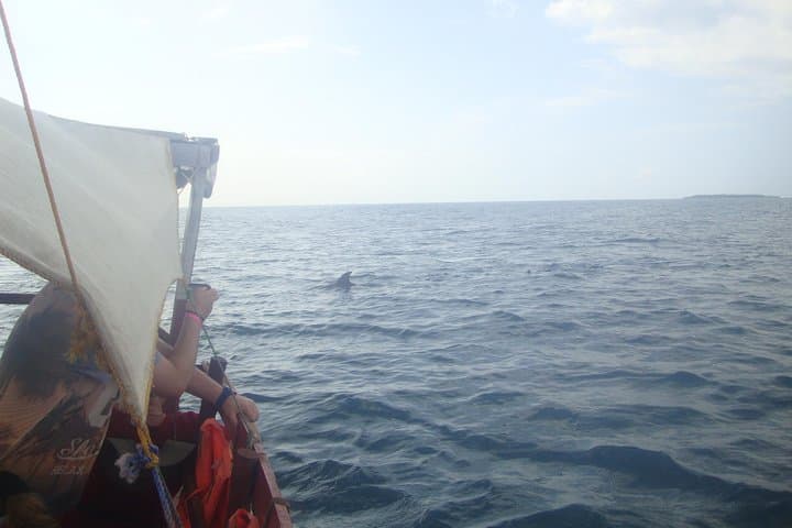 Diani Beach Dolphin & Kisite Snorkel: Full-Day Boat Tour from Shimoni photo 2