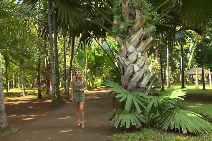 North Mauritius Full-Day Private Tour — Port Louis, Pamplemousses & Cap Malheureux photo 3