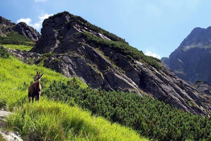 Kasprowy Wierch and Hala Gąsienicowa: Private Tatra Day Hike from Krakow photo 2