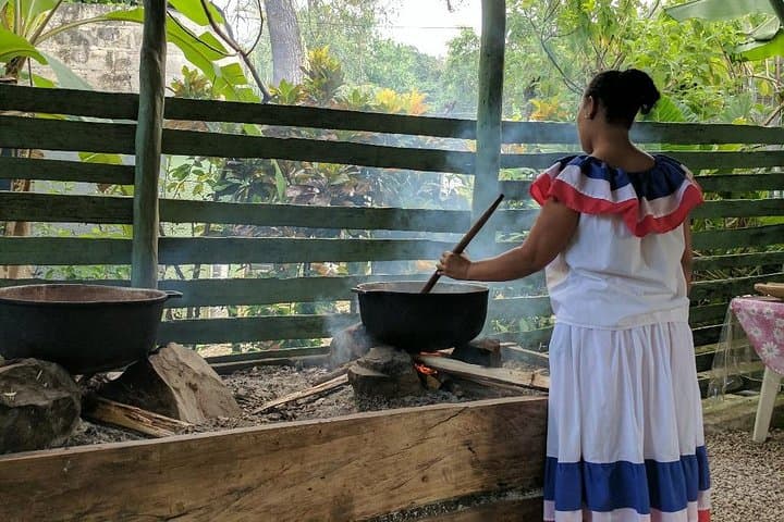 Monkeyland and Plantation Safari Tour from Punta Cana — Squirrel Monkeys, Coffee & Cacao photo 5