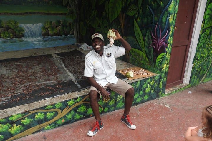 Monkeyland and Plantation Safari Tour from Punta Cana — Squirrel Monkeys, Coffee & Cacao photo 4