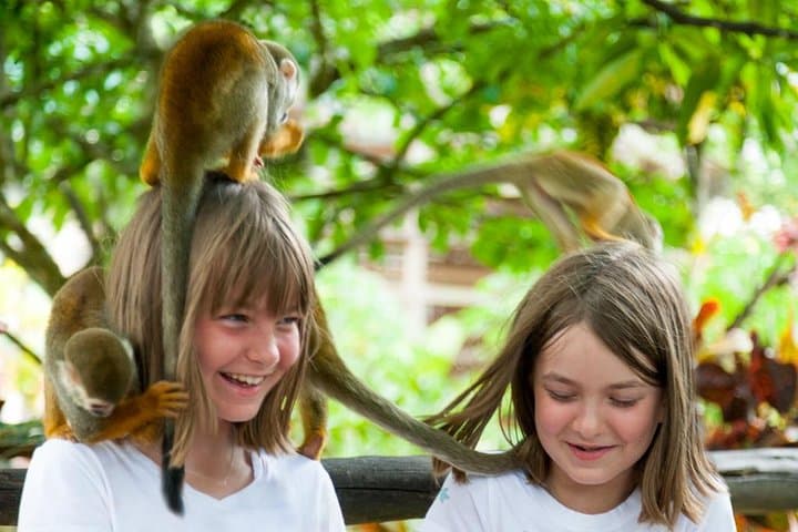 Monkeyland and Plantation Safari Tour from Punta Cana — Squirrel Monkeys, Coffee & Cacao photo 6