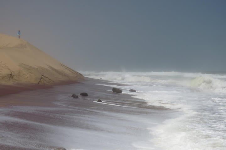 Sandwich Harbour 4x4 Dune and Lagoon Tour from Walvis Bay photo 6