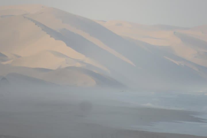 Sandwich Harbour 4x4 Dune and Lagoon Tour from Walvis Bay photo 4