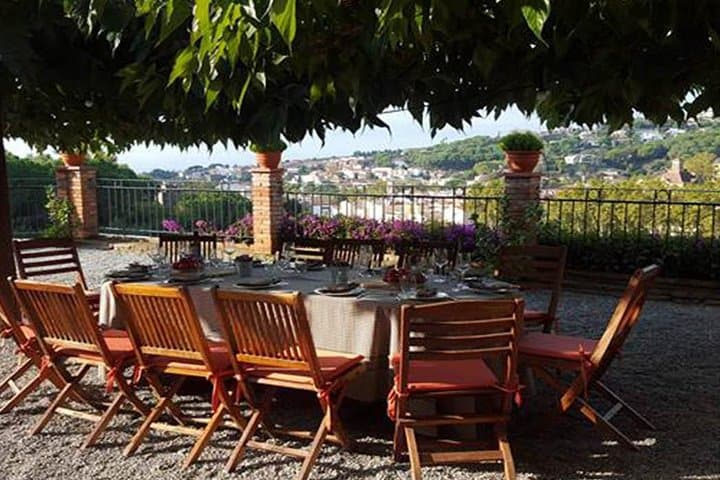 Breakfast Winery Experience in Alella: Private Organic Wine Tasting near Barcelona photo 5