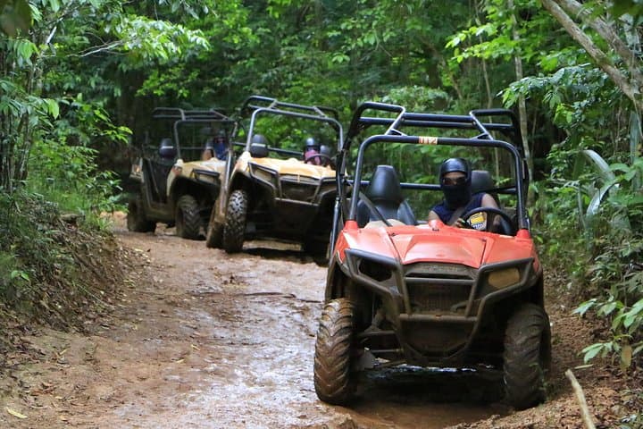 ATV Outback Adventure from Kingston — Off‑Road Trails & Caribbean Sea Views photo 3