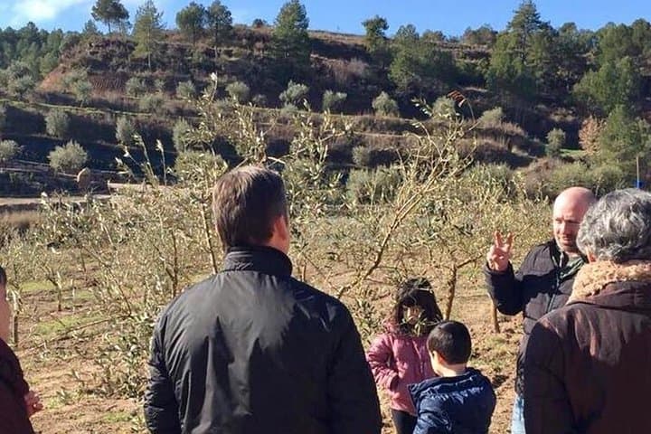 Vall d’Hortons Olive Oil Tasting — Private Tour from Barcelona photo 4