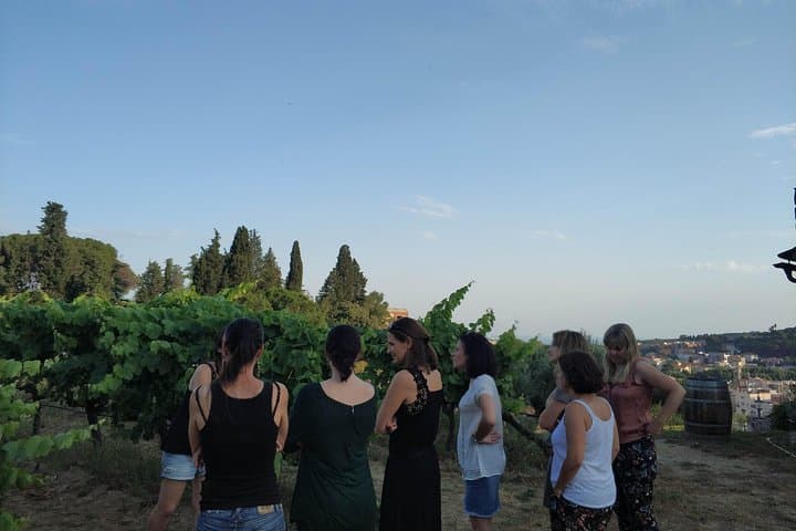 Alella Organic Wine Tasting & Picnic Tour from Barcelona photo 4