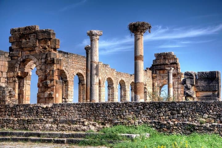 Fes to Volubilis Day Trip — Meknes, Roman Ruins & Bab Mansour
