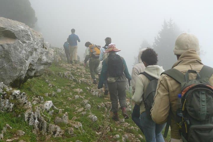 Rishikesh to Kunjapuri Trek: Day Hike to a Himalayan Viewpoint