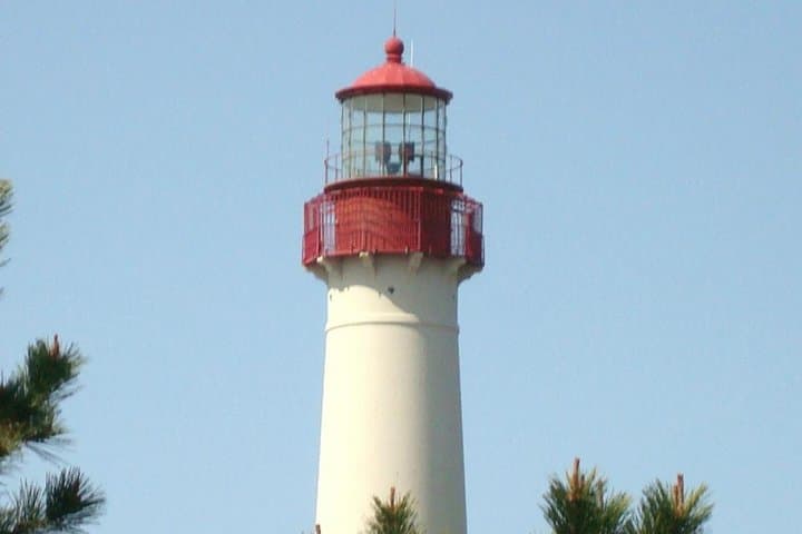 Dolphin Watching Around Cape May: 2-Hour Wildlife Cruise in New Jersey photo 5