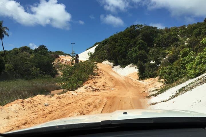 Massarandupio Beach Daytrip from Salvador — Quiet Beaches & Coastal Swimming photo 5