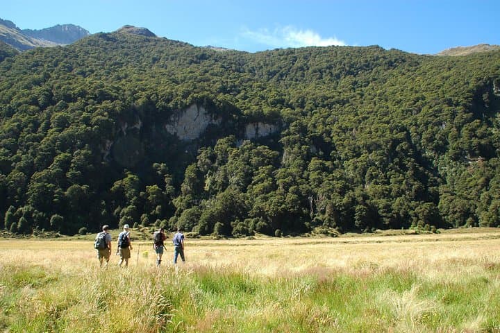 Siberia Fly-Hike-Jetboat: Makarora to Wilkin River Wilderness Adventure photo 5