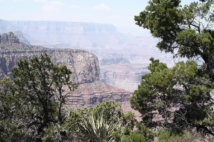 Private Grand Canyon South Rim Tour from Sedona with El Tovar Lunch photo 4
