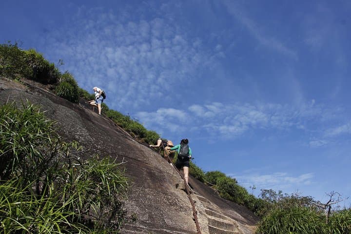 Pico da Tijuca Hiking Tour — Guided Hike to Tijuca National Park's Highest Peak photo 3