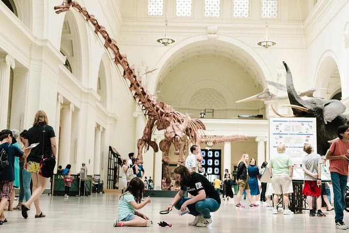 Field Museum All-Access Pass: Explore Chicago’s Dinosaurs, Gems & Ancient Cultures