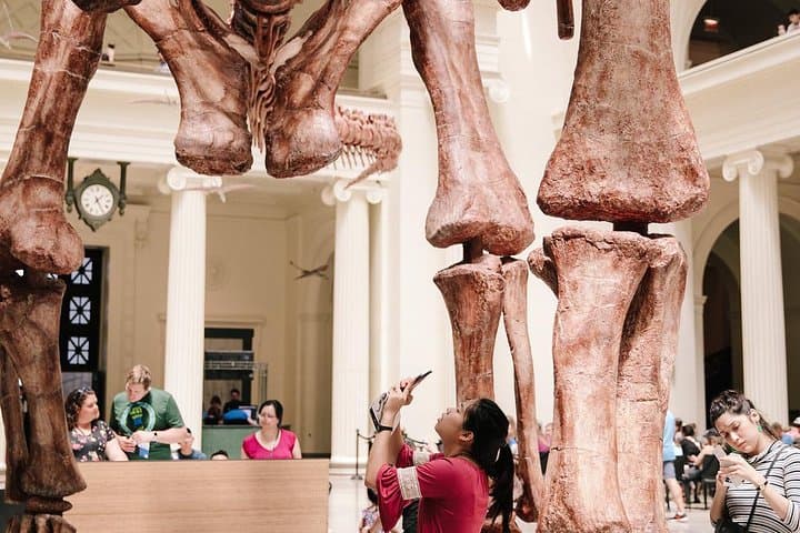 Field Museum Chicago Guide: SUE, Dinosaurs, Ancient Egypt & Gems photo 4