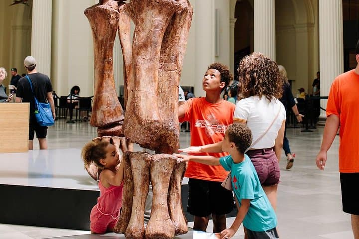 Field Museum Chicago Guide: SUE, Dinosaurs, Ancient Egypt & Gems photo 6