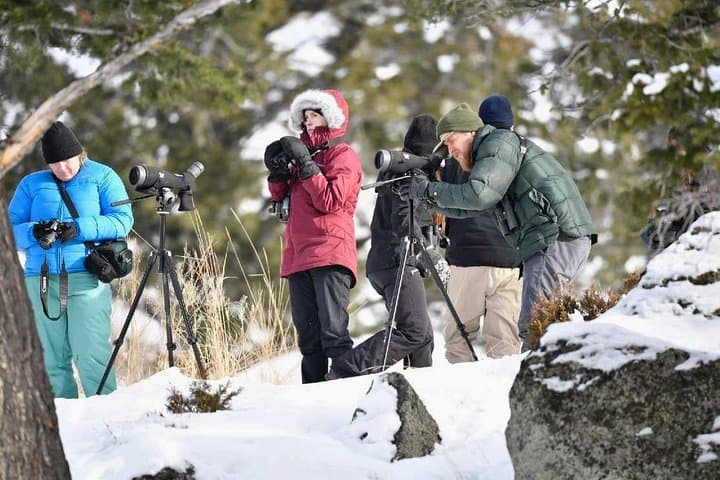 Grand Teton and Native American Petroglyph Day Tour from Jackson Hole photo 6