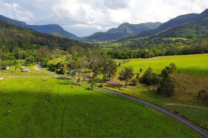 Springbrook Natural Bridge & Waterfalls Tour from Gold Coast photo 6