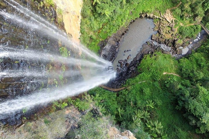 Springbrook Natural Bridge & Waterfalls Tour from Gold Coast photo 5