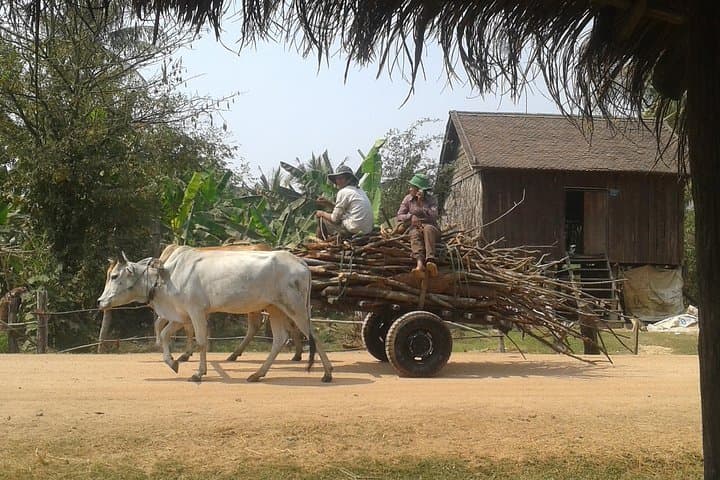 Siem Reap Countryside & Mechrey Floating Village Day Tour — Rice Fields, Villages & Tonle Sap Cruise photo 3