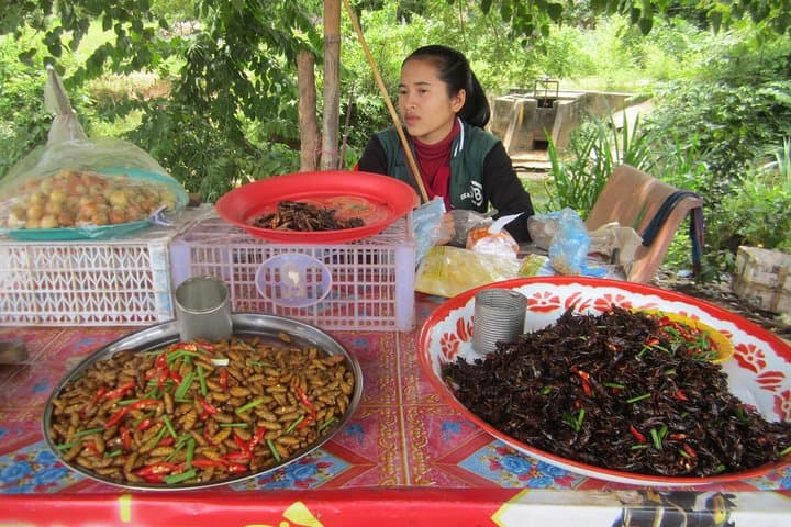 Siem Reap Countryside & Mechrey Floating Village Day Tour — Rice Fields, Villages & Tonle Sap Cruise photo 4