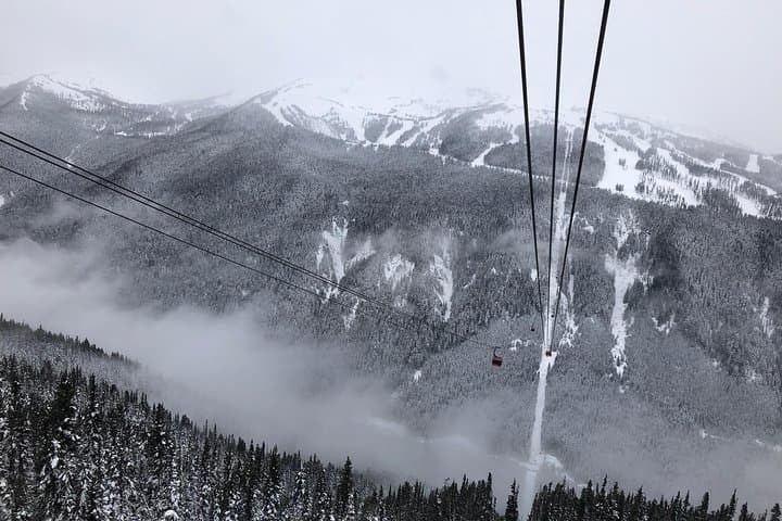 Sea-to-Sky Day Tour: Vancouver to Whistler via Shannon Falls photo 5