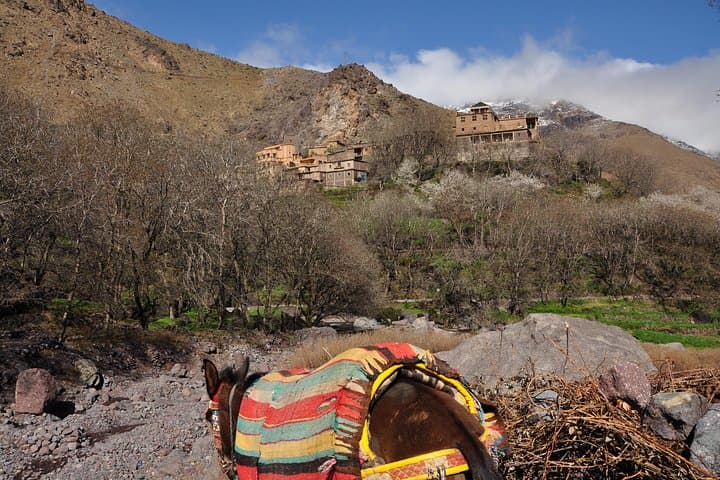 High Atlas Day Trek from Marrakech — Imlil Valley & Toubkal National Park