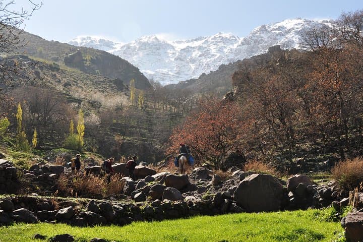High Atlas Day Trek from Marrakech — Imlil Valley & Toubkal National Park photo 2