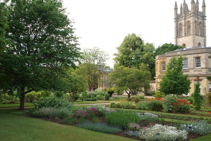 Oxford Private Guided Walking Tour: Colleges, Bodleian & Ashmolean in 3 Hours photo 3