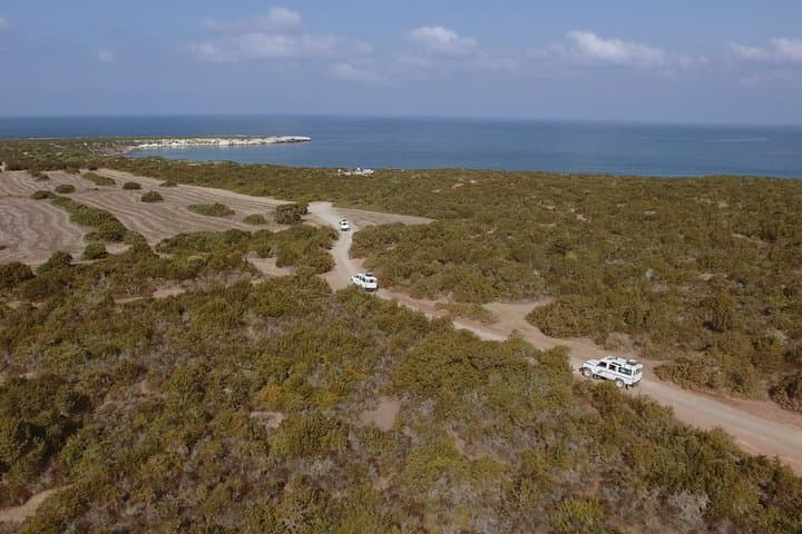 Jeep Safari Akamas Peninsula from Paphos — Full-Day 4x4 Nature Expedition