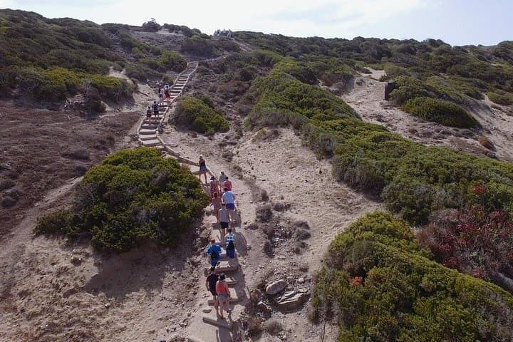 Jeep Safari to Akamas Peninsula: Full-Day Off-Road Expedition from Limassol photo 3