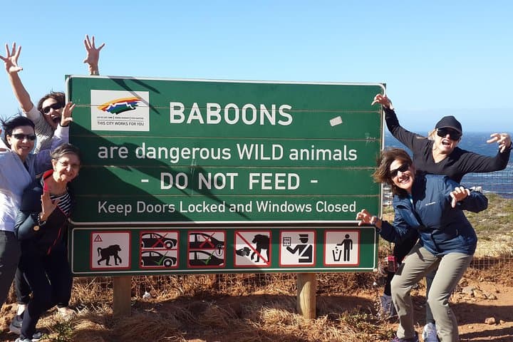 Cape2Addo Safari Adventure: 8-Day Cape Town to Addo Big 5 Tour photo 3