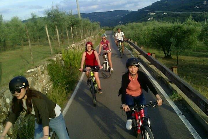 Fiesole E-Bike Half-Day: Ride the Tuscan Hills, Farm Picnic & Panoramas photo 4