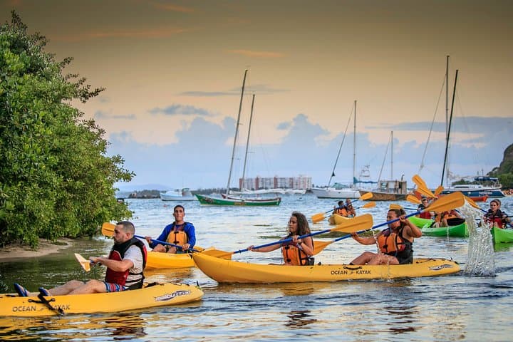 Night Kayaking Laguna Grande: Bioluminescent Bay Adventure in Fajardo