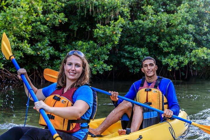 Night Kayaking Laguna Grande Bioluminescent Bay — Guided Tour from San Juan photo 3